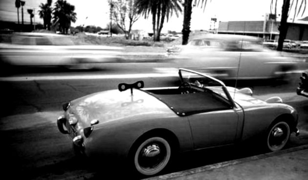 Palm-Springs.-Doisneau.1
